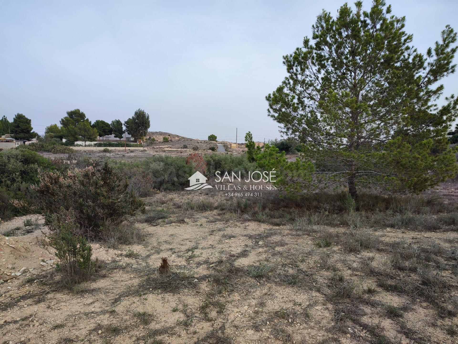 SE VENDE TERRENO EN ASPE. ZONA BIEN COMUNICADA