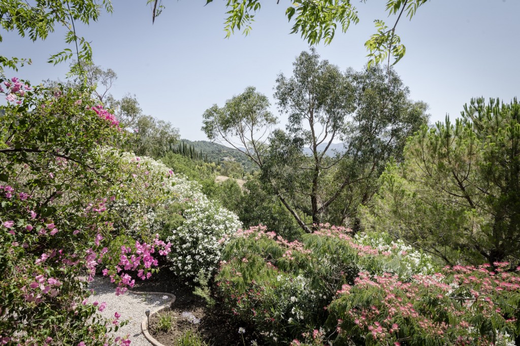 Casa-Chalet en Venta en Gaucín Málaga - foto 5