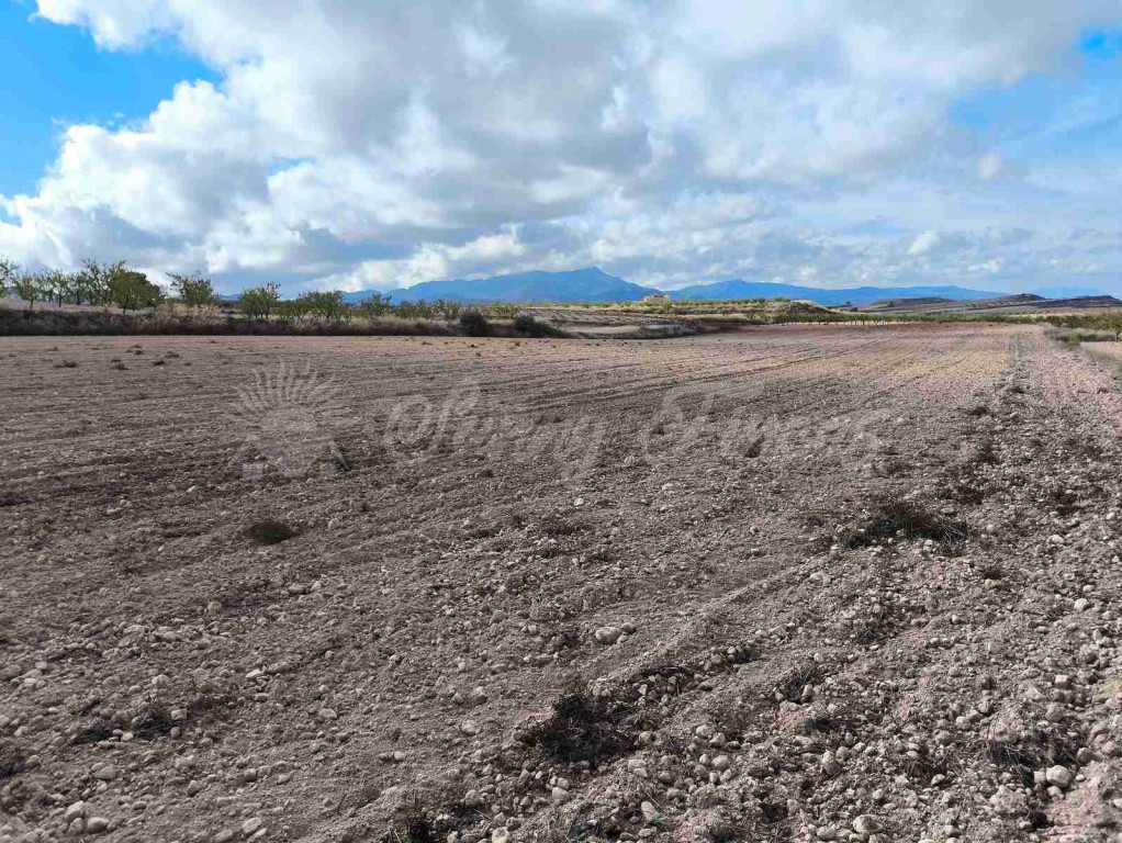 Suelo rústico en Venta en Jumilla Murcia - foto 4
