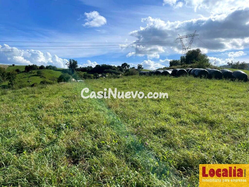 Finca Rústica en venta en VILLAESCUSA de 4487 m2 - foto 2