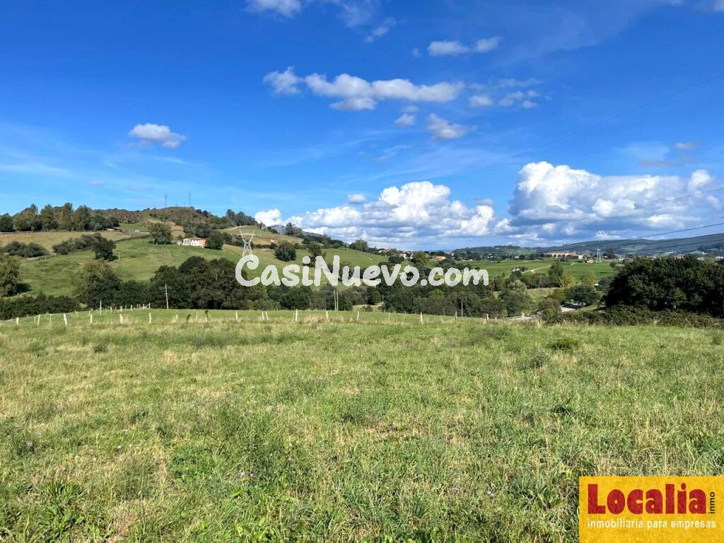Finca Rústica en venta en VILLAESCUSA de 4487 m2 - foto 4