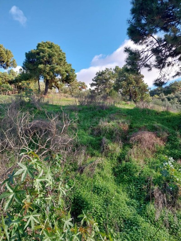 SE VENDEN VARIAS PARCELAS EN LA ZONA DE FOREST HILL