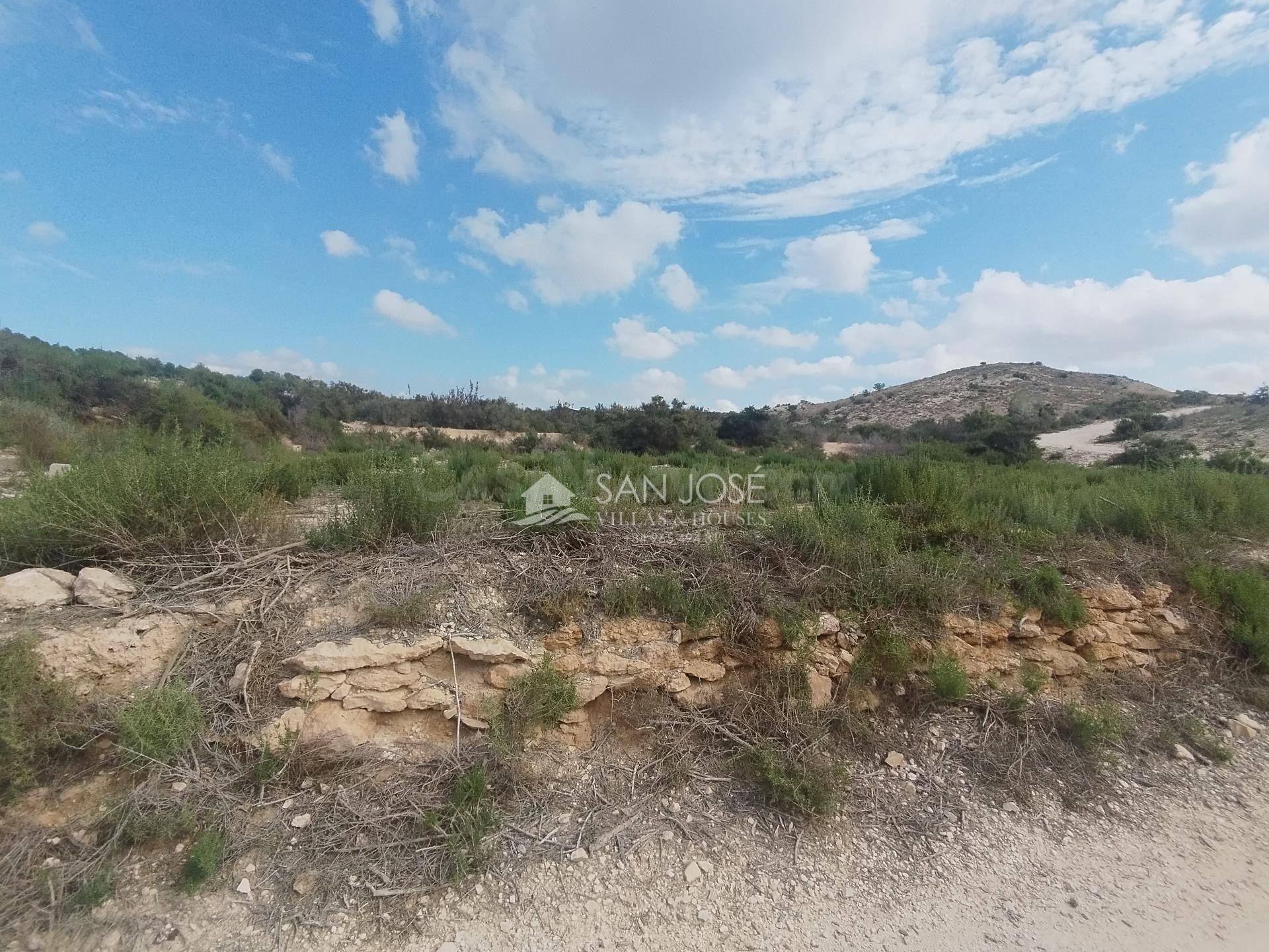 SE VENDE TERRENO EN ASPE