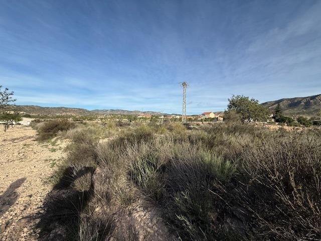 Venta  de terreno en Barinas (Abanilla)