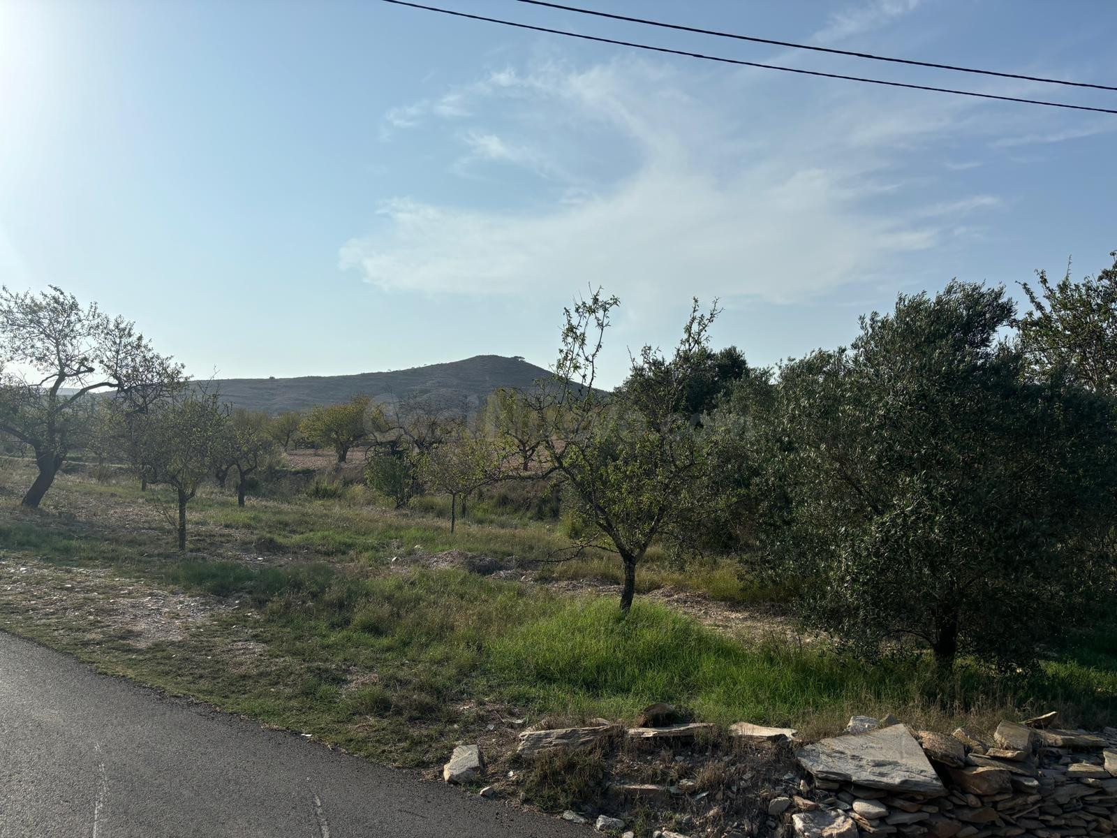 Se vende terreno edificable con piscina de 10x20 en Cala Por - foto 5