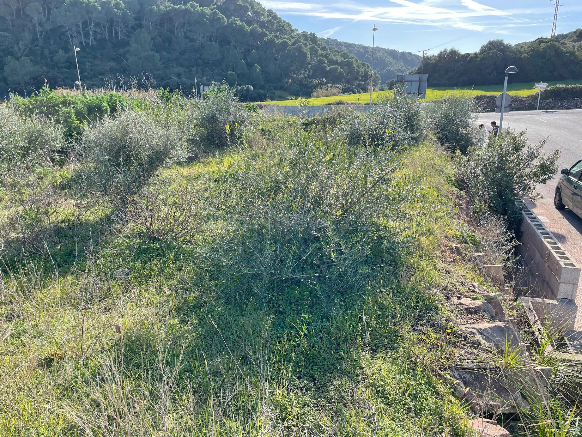 Terreno Urbanizable en Ferreries con Vistas Despejadas al Ca - foto 4