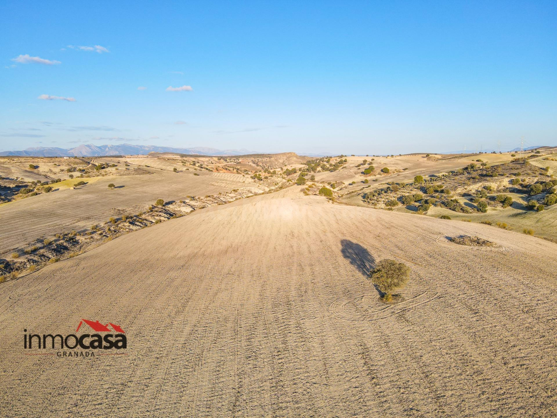 Descubre una oportunidad única en Caldera, Pedro Martinez!!! - foto 4