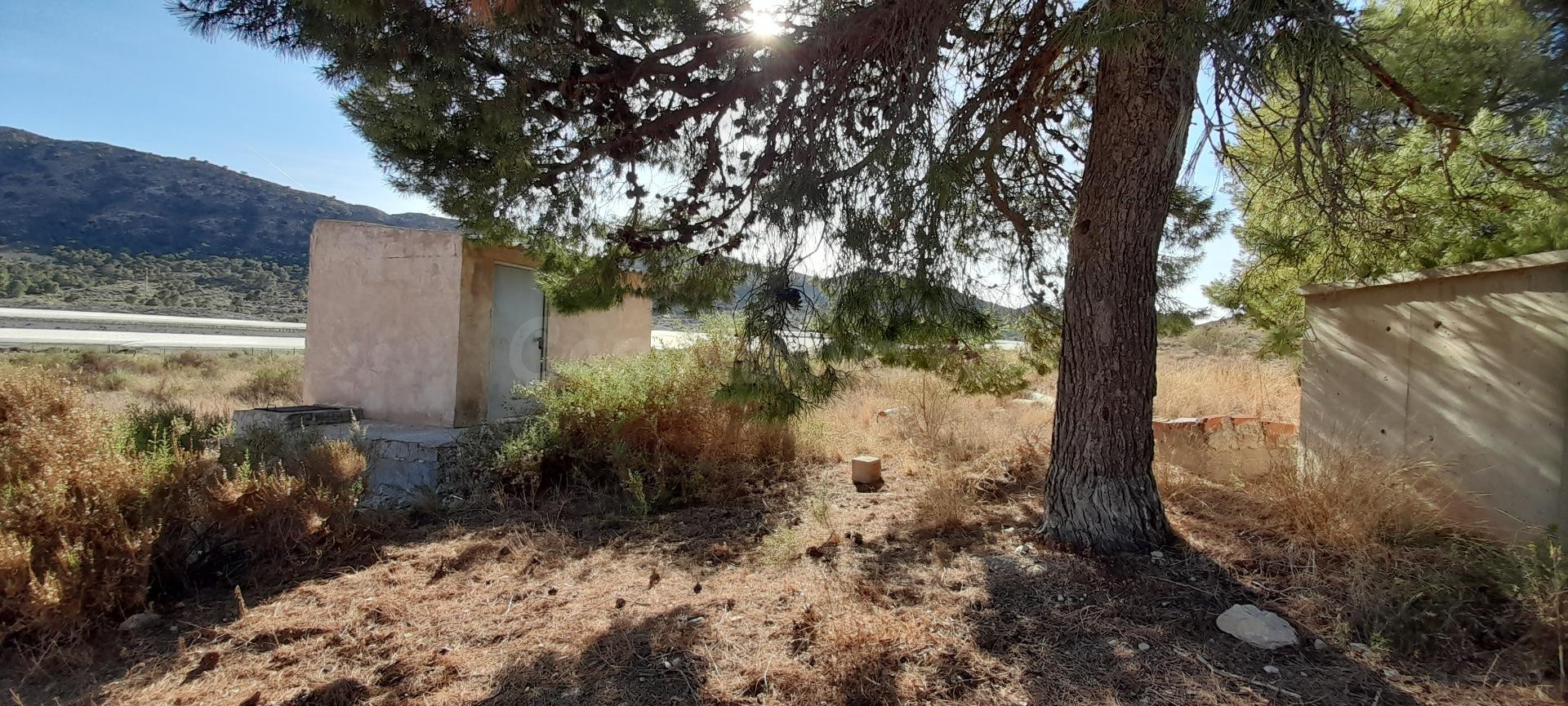 PARCELA 30.000 METROS DE TERRENO