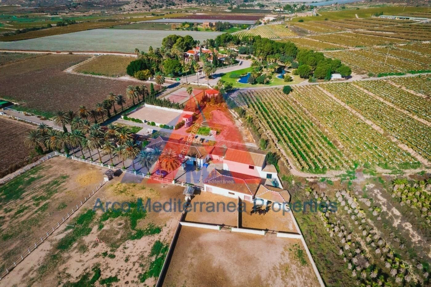 FINCA ECUESTRE DE ESTILO MEDITERRÁNEO. - foto 5
