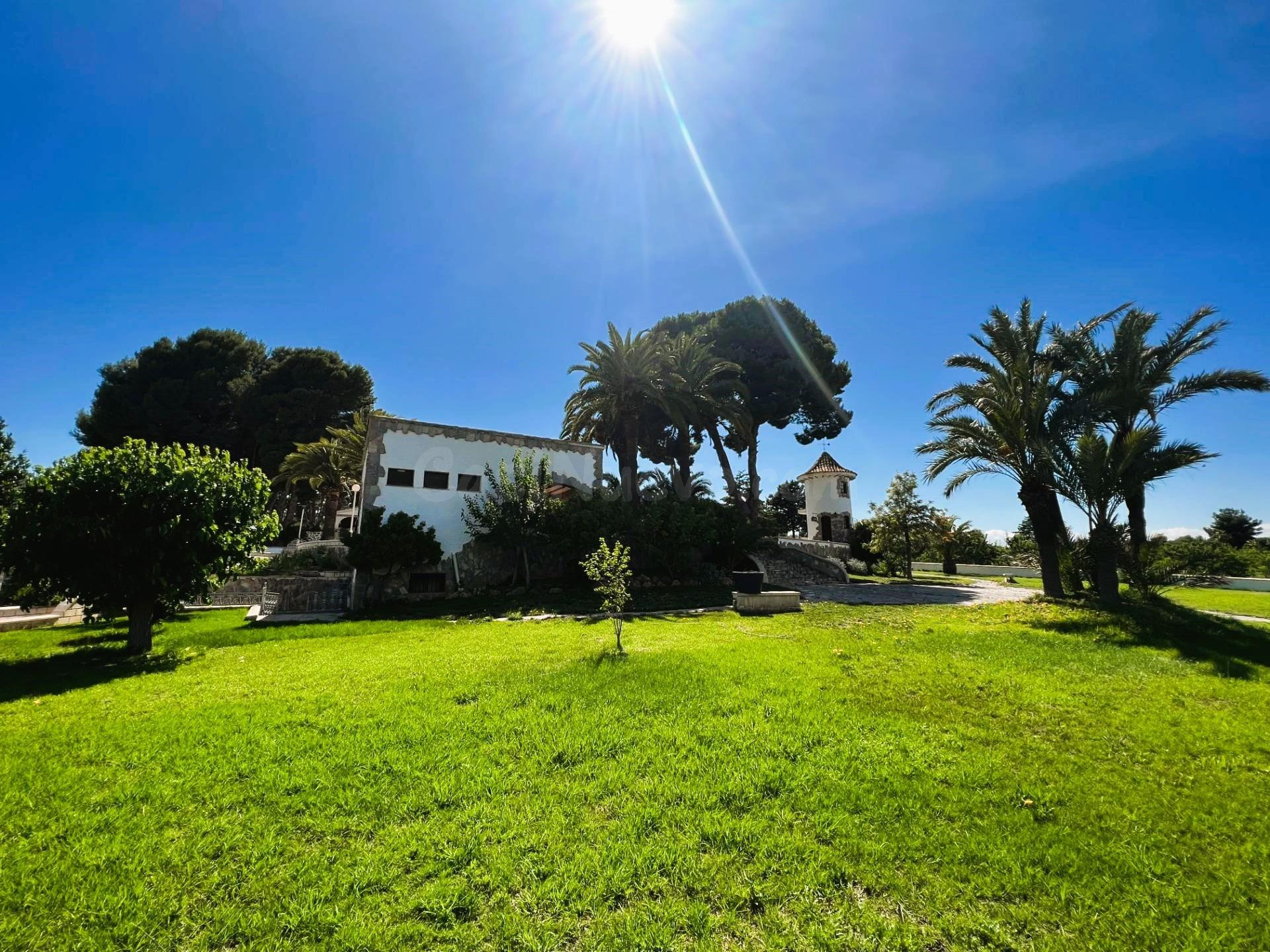 Finca mediterránea en Monovar, Alicante. - foto 4