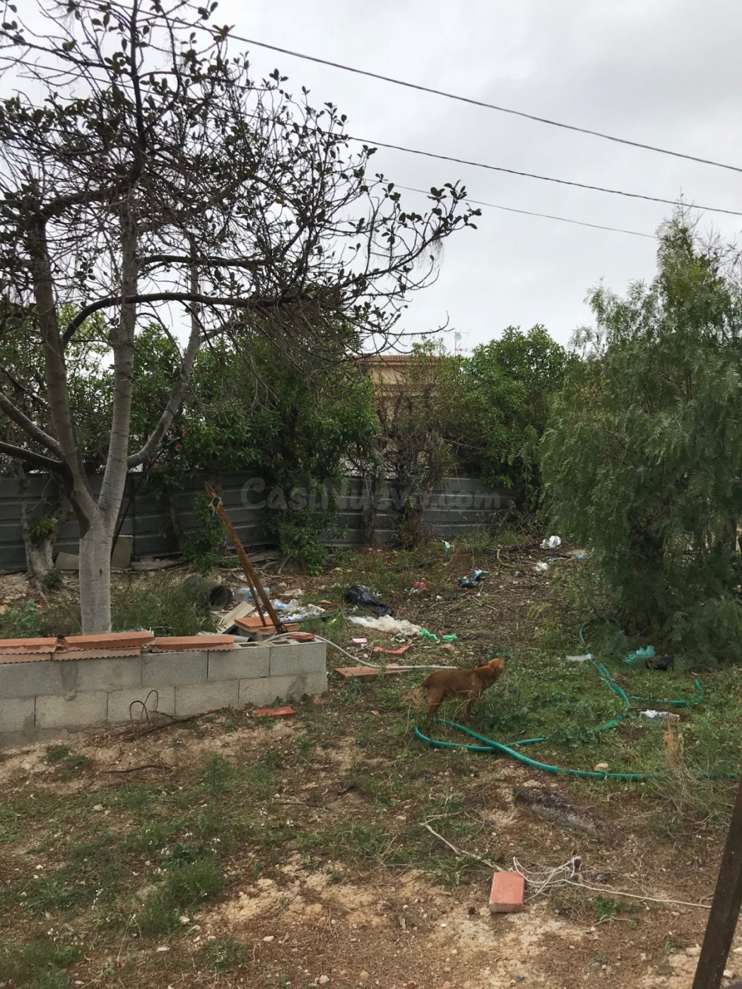 Terreno urbano con casa y pinada en San Vicente del Raspeig