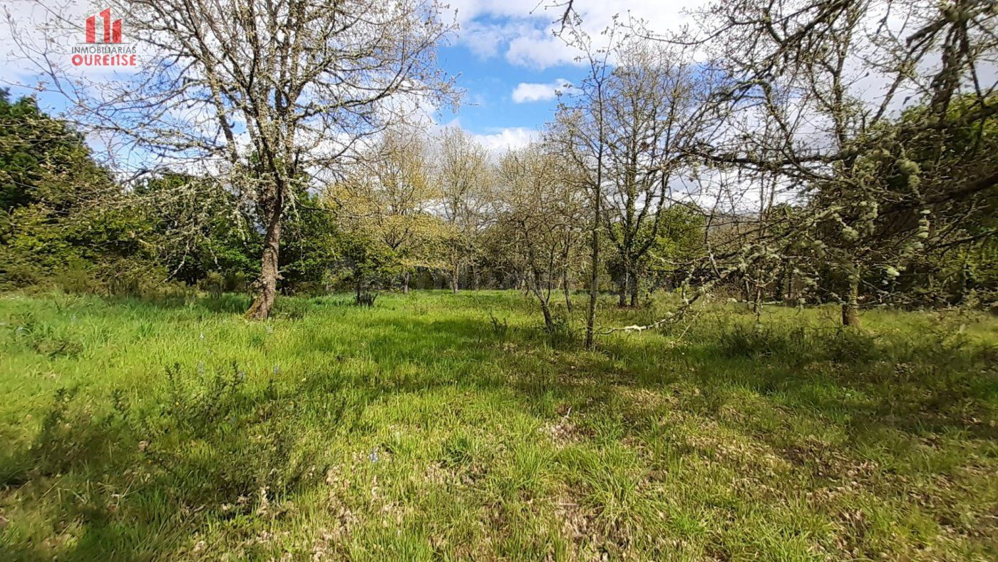 ECONÓMICA FINCA RÚSTICA EN VILAR DE ASTRÉS