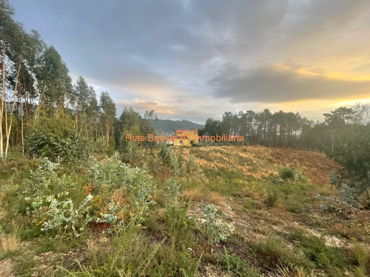 REF 4201 GRAN TERRENO DE 10.280m2 MUY PRÓXIMO POLIGONO AS BA