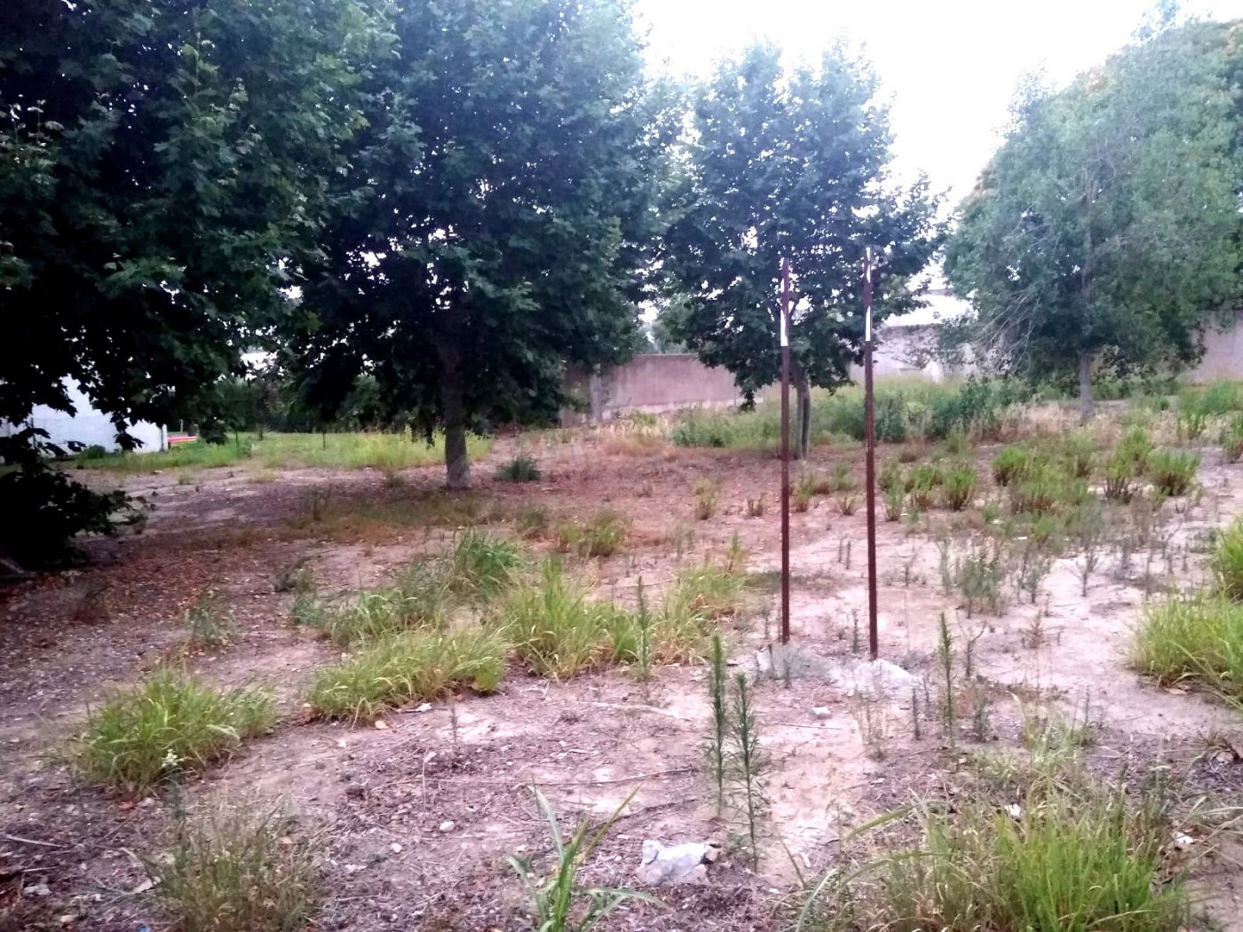 SOLAR URBANO EN VENTA. 1.444 M2, EN VILAFORTUNY.