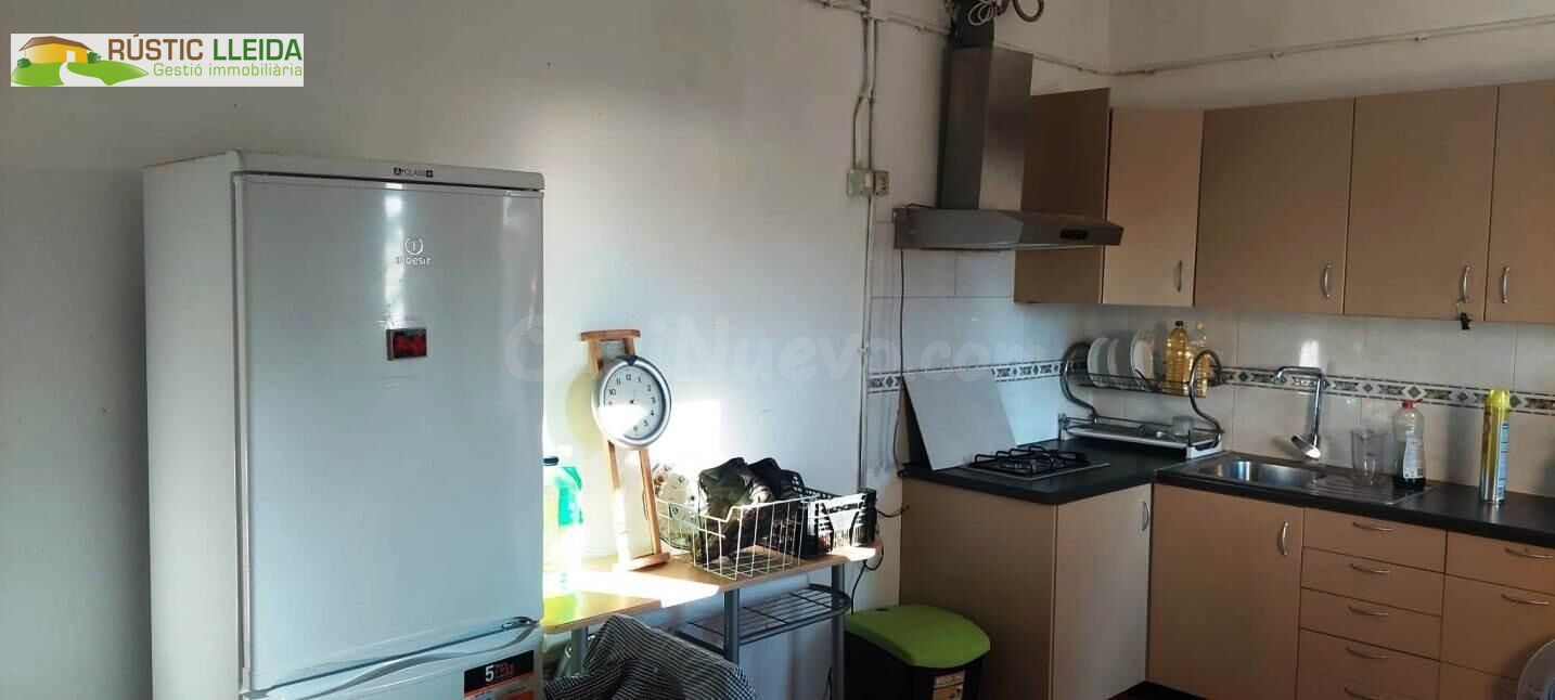 Finca de regadío con casita agrícola en los alrededores de J - foto 5