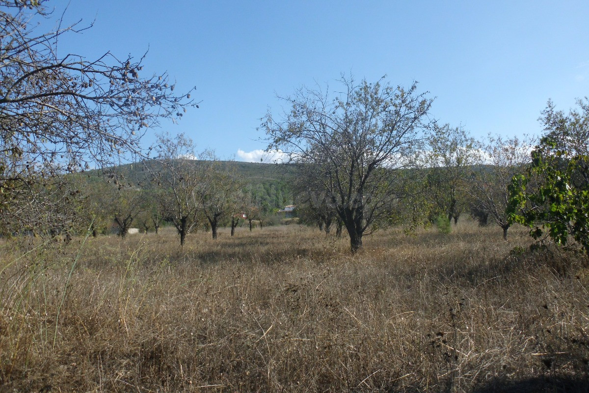 Finca La Farola Ontinyent - foto 2