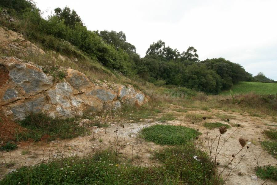 TERRENO URBANO/RUSTICO EN CONCHA - RUILOBA