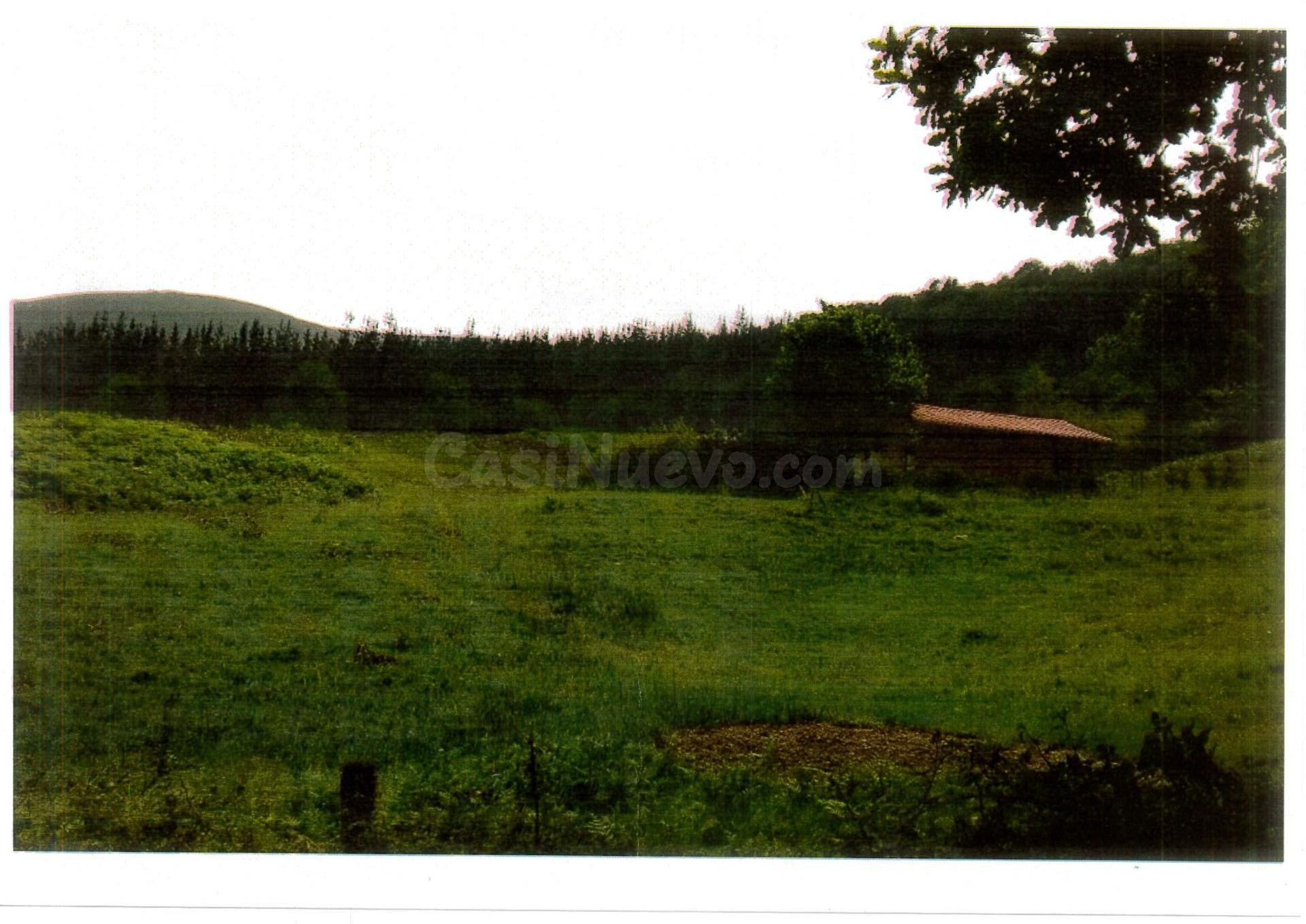 CABAÑA INDEPENDIENTE CON TERRENO EN RUENTE - foto 2