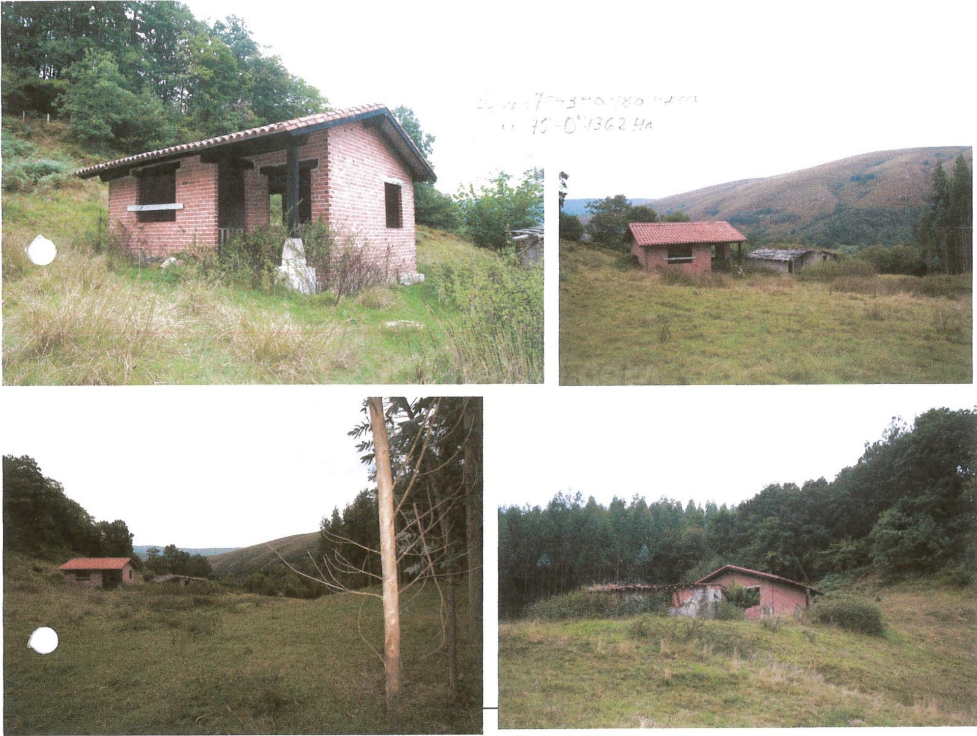 CABAÑA INDEPENDIENTE CON TERRENO EN RUENTE - foto 3