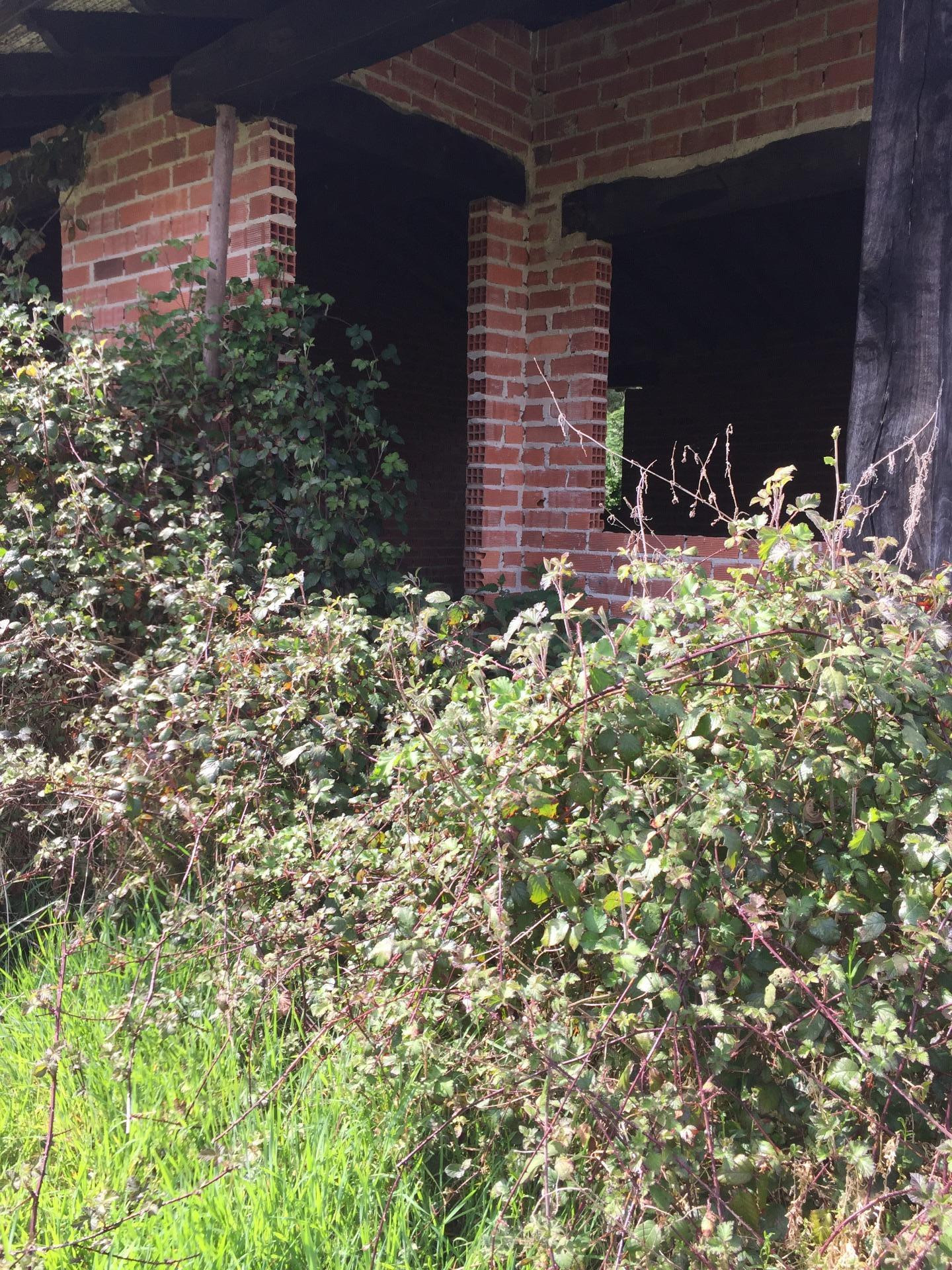 CABAÑA INDEPENDIENTE CON TERRENO EN RUENTE - foto 4