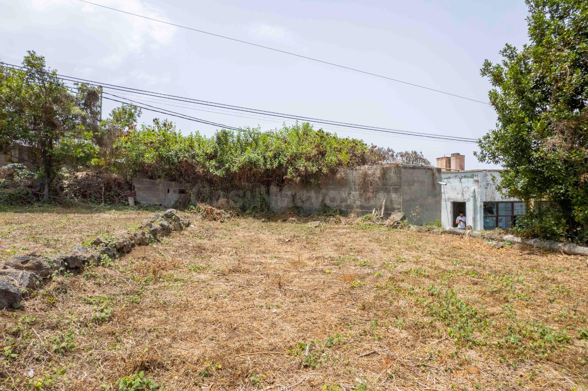 SE VENDE CASA CON TERRENO URBANO EN ICOD DE LOS VINOS. - foto 2