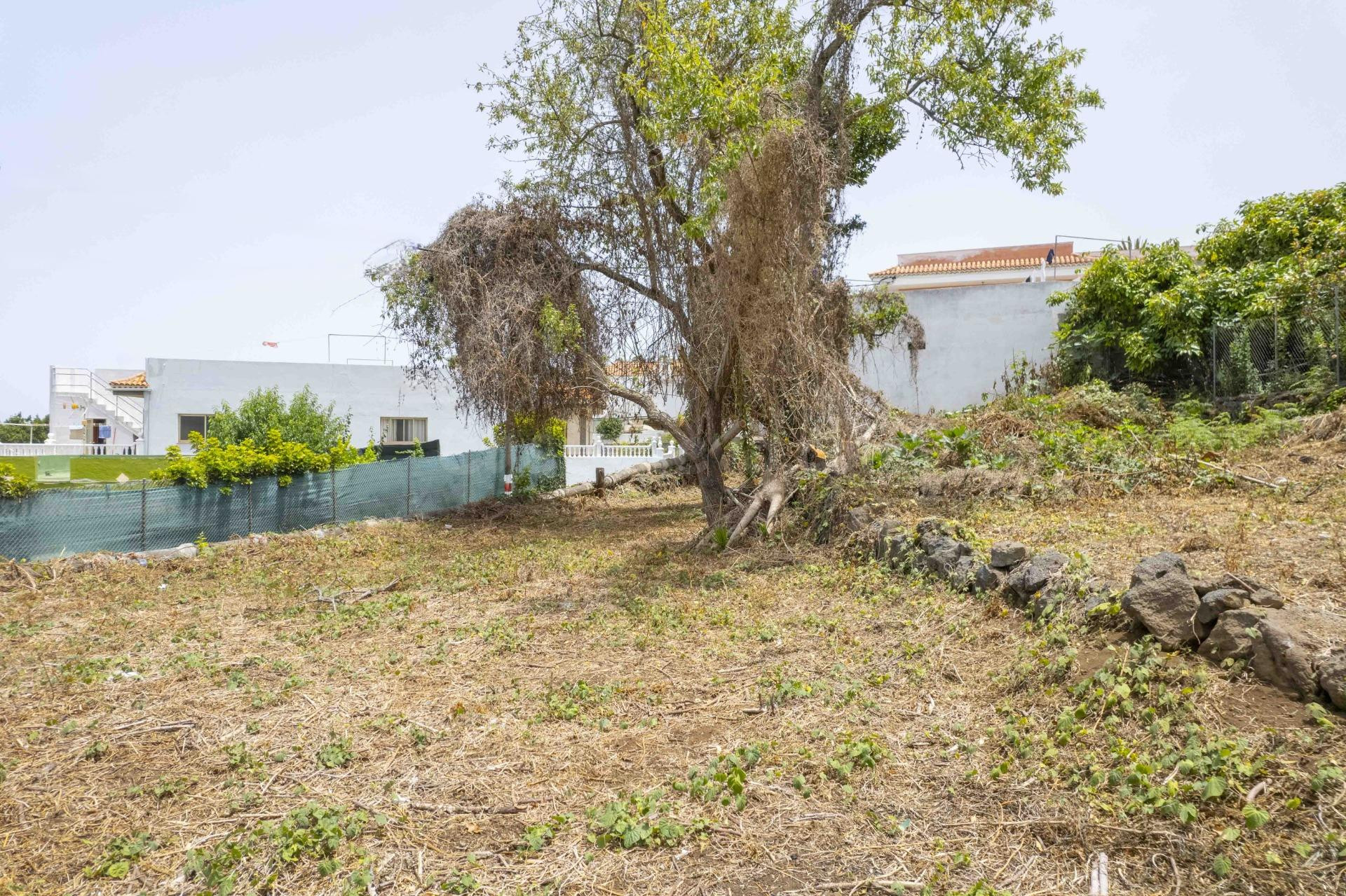 SE VENDE CASA CON TERRENO URBANO EN ICOD DE LOS VINOS. - foto 3