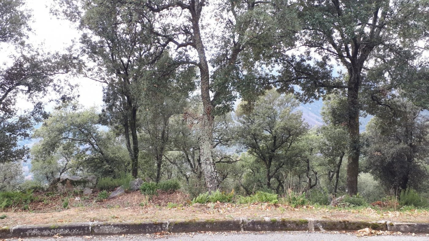 Terreno en venta Fogueres de Montsoriu