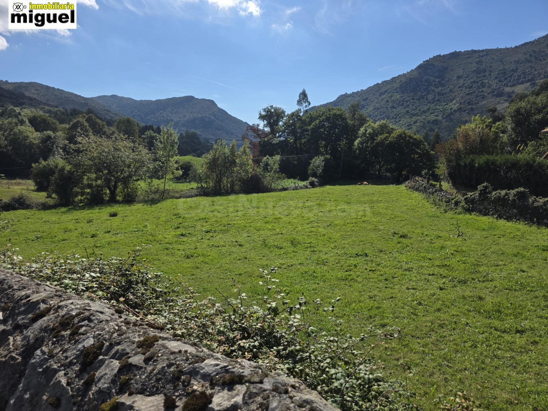 Se vende Terreno Urbano en Celis, Rionansa