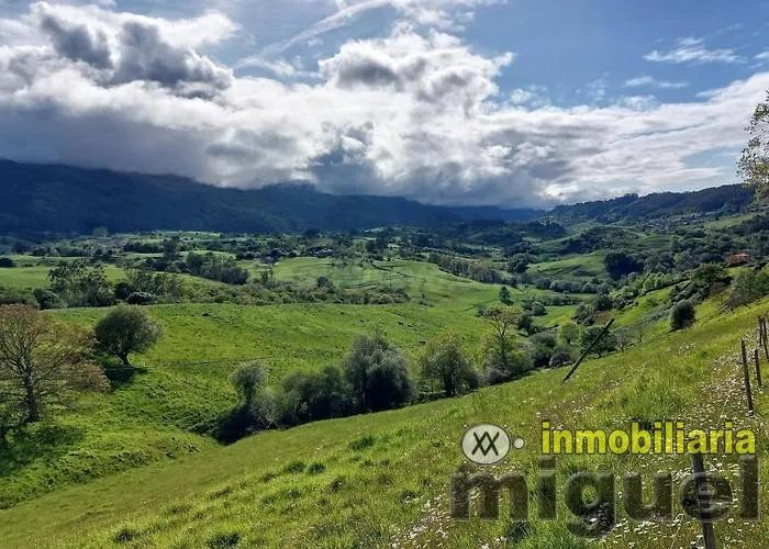 Se vende parcela edificable segregable en Noriega, Ribadedev