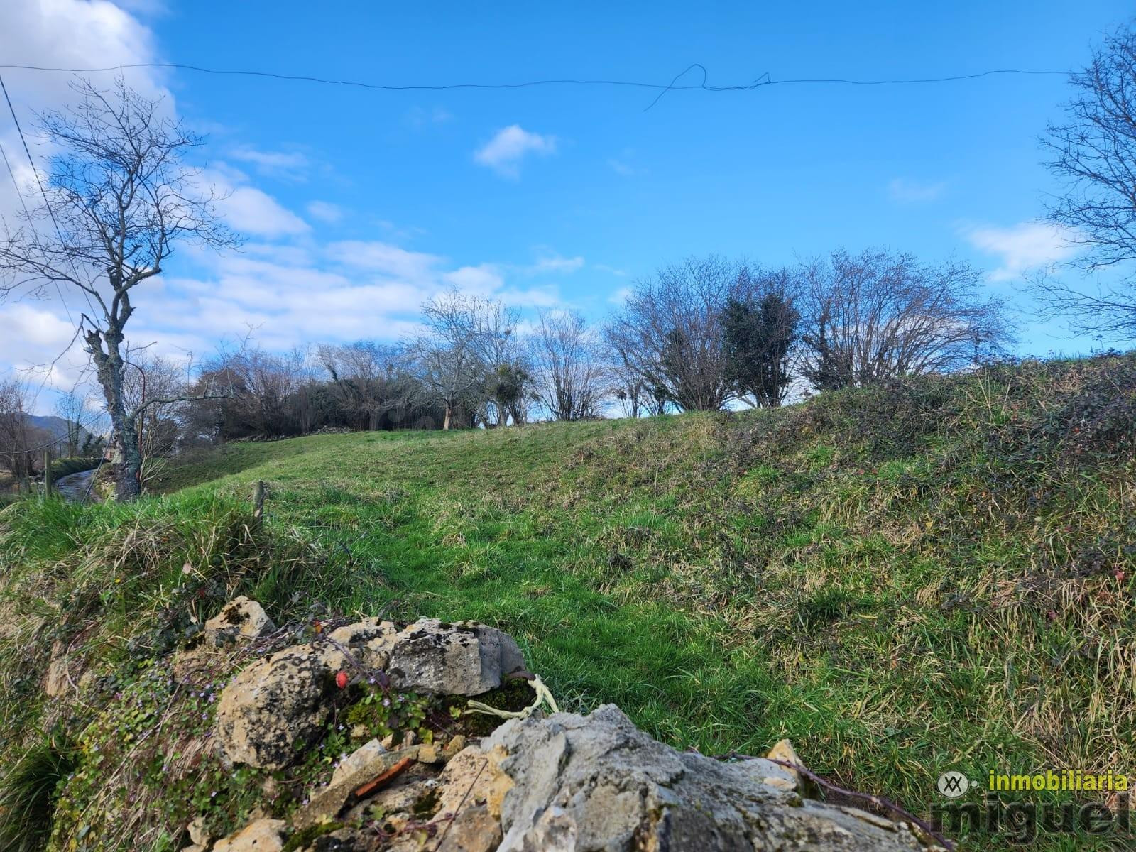 Se vende parcela edificable segregable en Noriega, Ribadedev - foto 5