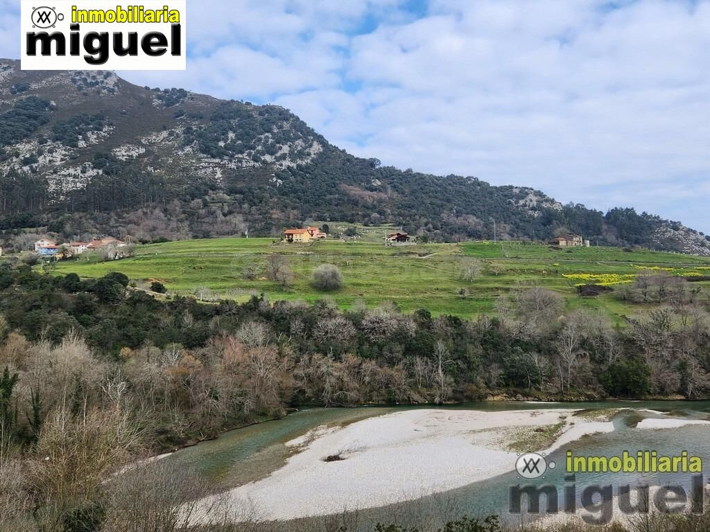 Se vende gran parcela edificable en Narganes, Peñamella Baja