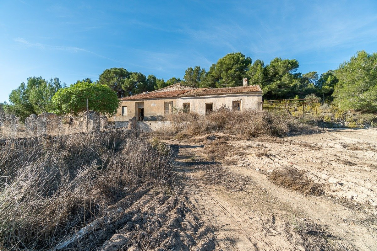 FINCA RUSTICA CON VIVIENDA PARA REHABILITAR EN PILAR DE LA HORADADA