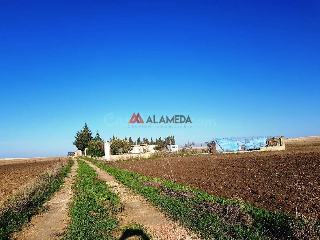 PARCELA SEGREGADA MIRALAMAR