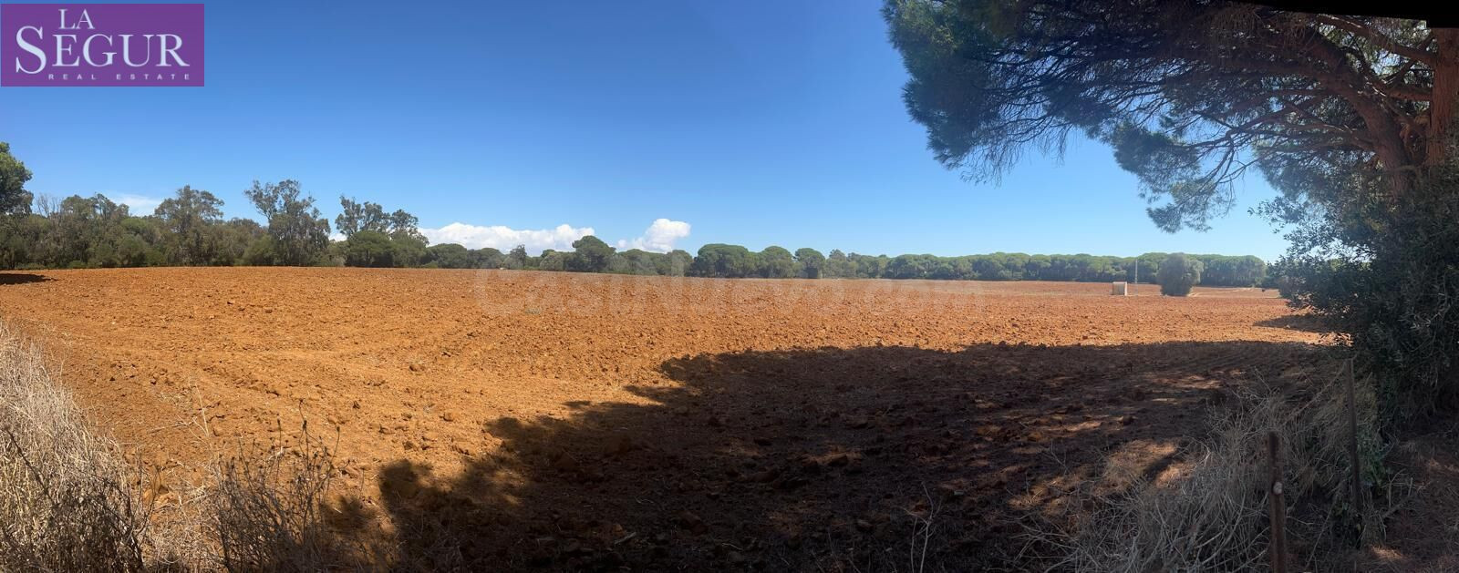 MAGNIFICA PARCELA EN LA MUELA