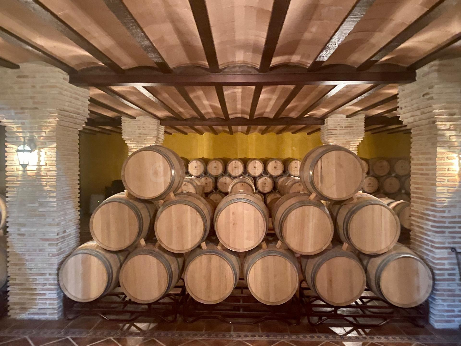 Exclusiva Bodega con Viñedos, Restaurante y Espacios para Eventos en Albacete