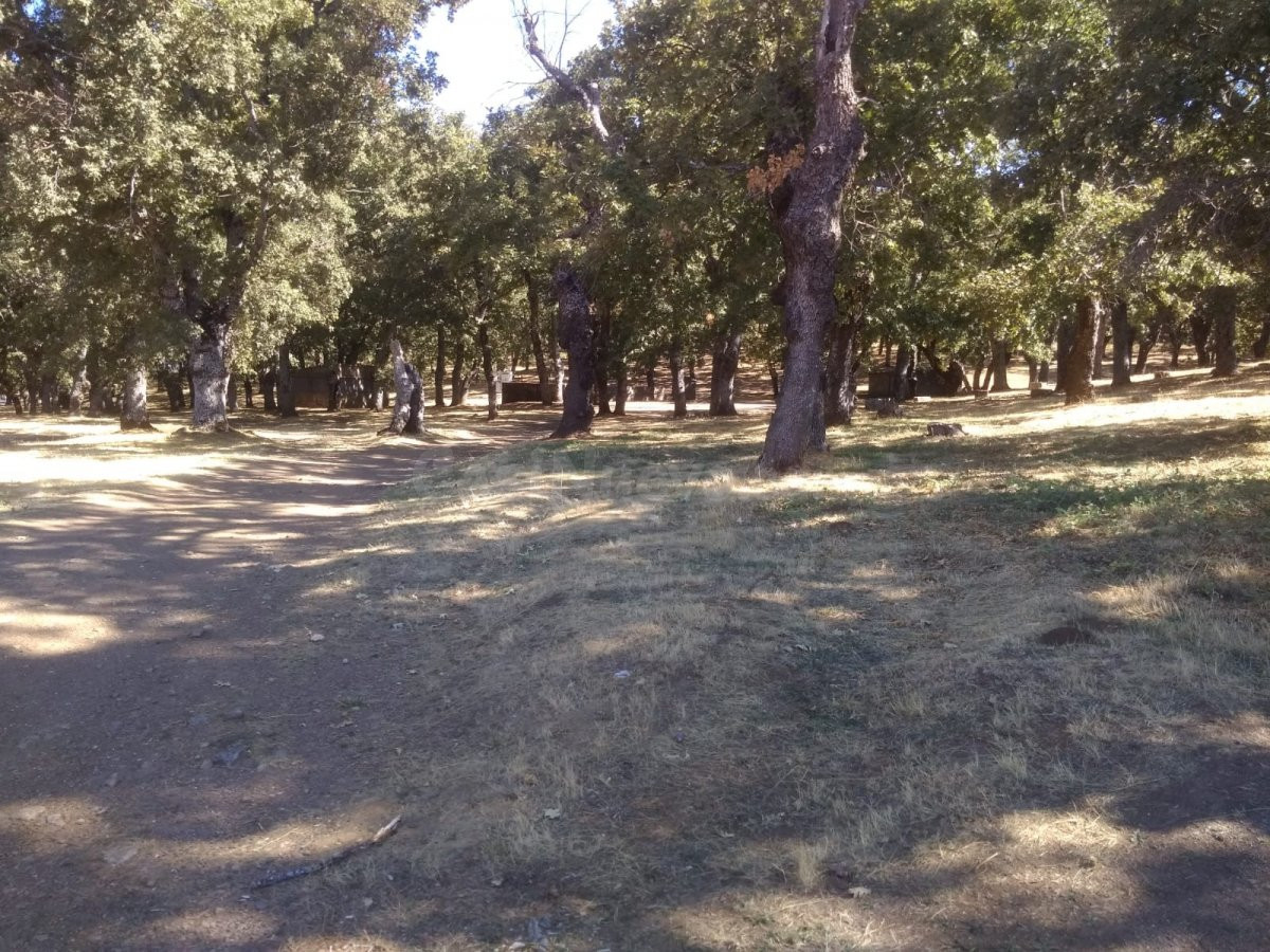 Urbis te ofrece una parcela en venta en Lagunilla. - foto 3