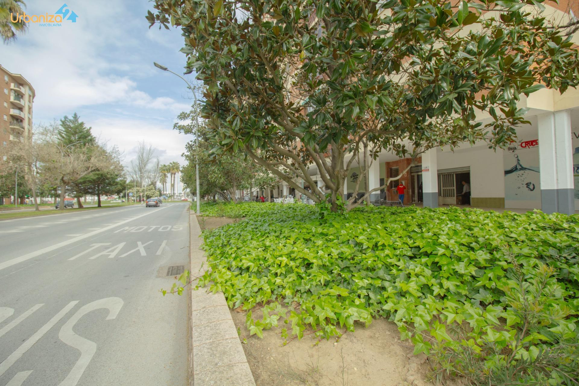 SE VENDE LOCAL COMERCIAL EN SINFORIANO MADROÑERO. inversión segura!!