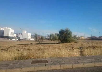 TERRENO EN VENTA EN FREGENAL DE LA SIERRA