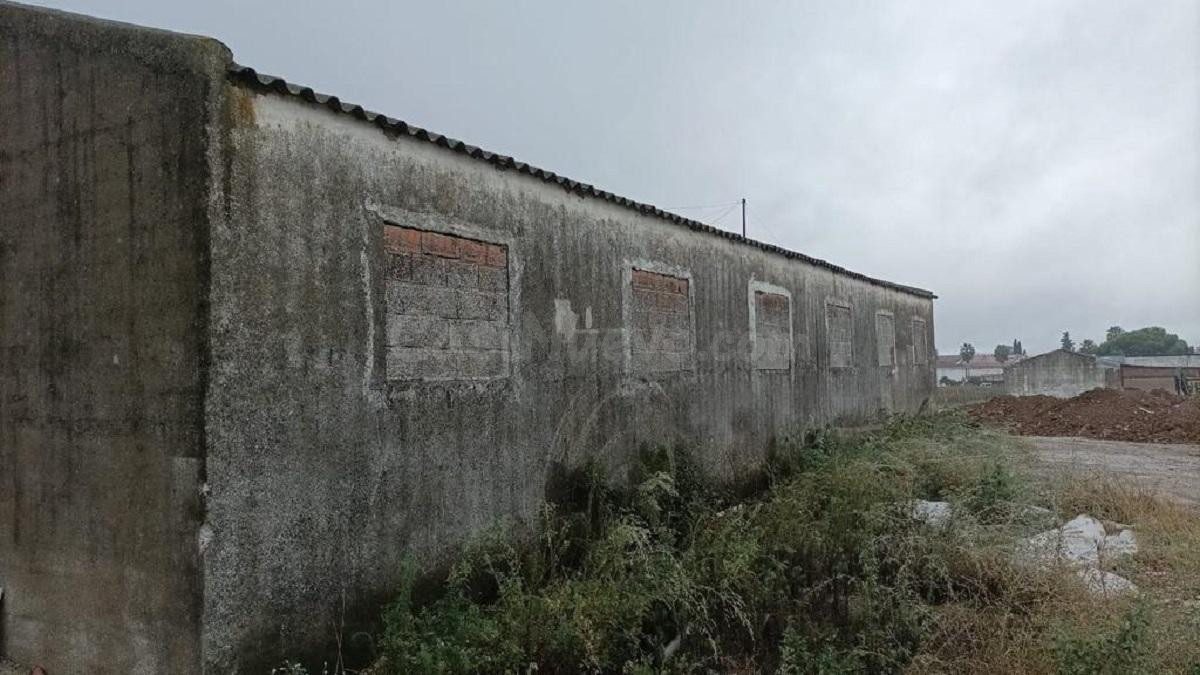 TERRENO URBANIZABLE EN MORALEJA - foto 4