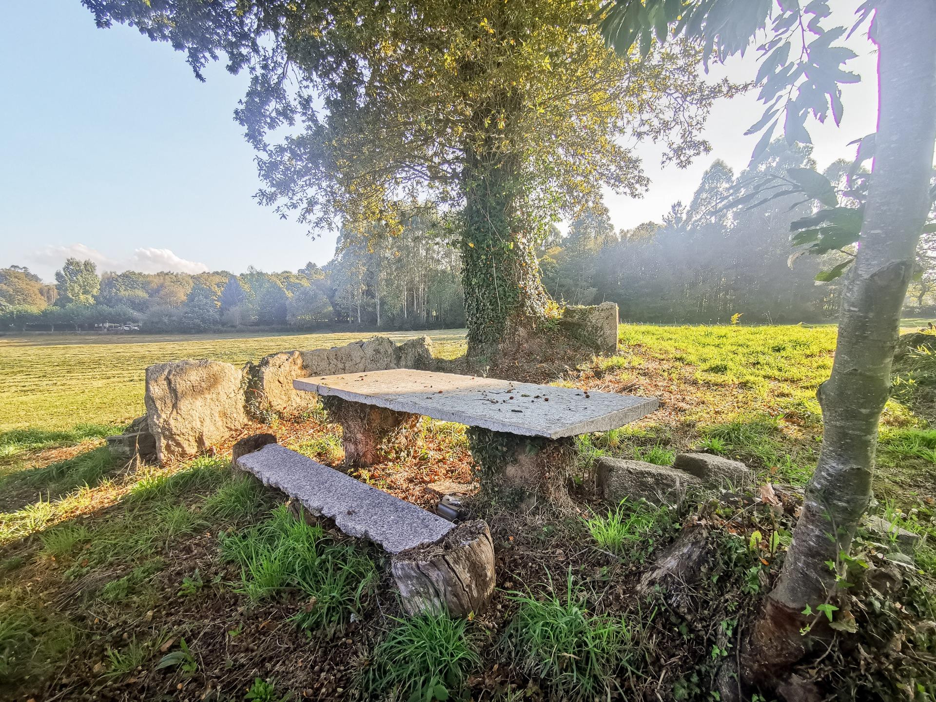 Casa de labranza con más de 6 hectáreas de terreno en Terra  - foto 3
