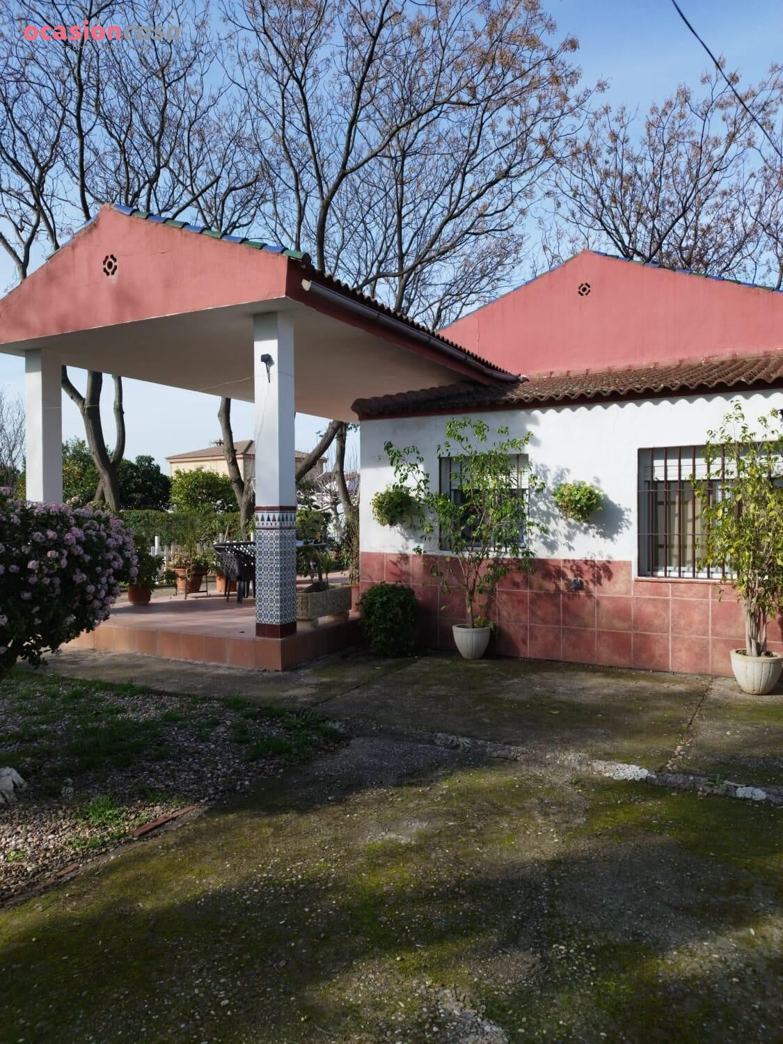 PARCELA EN ZONA CAMINO VIEJO DE ALMODOVAR CON PISCINA Y TERRENO DE 3000m2 - 250.000€ -