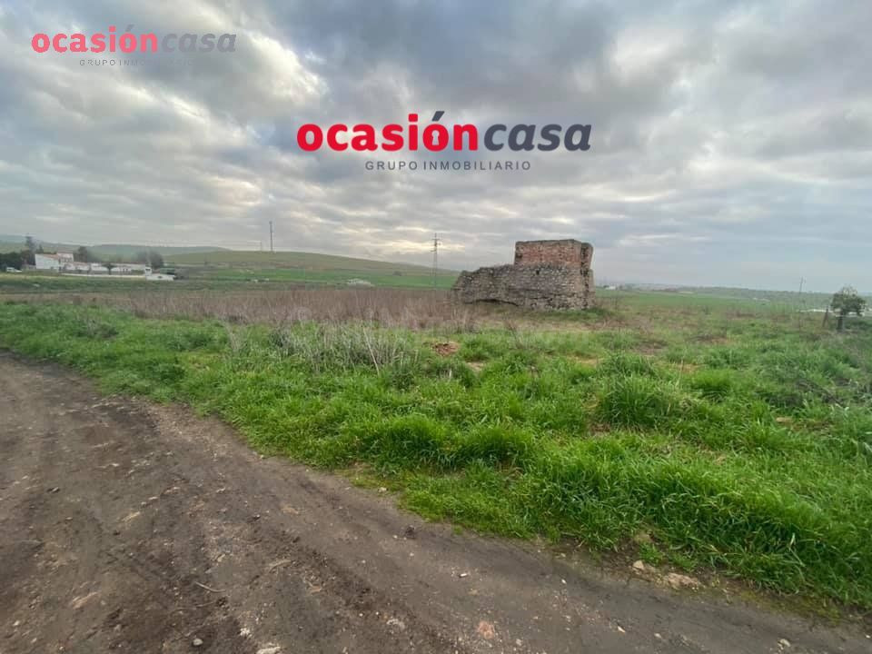 PARCELA CON RUINA A LA VENTA EN BELMEZ - foto 5
