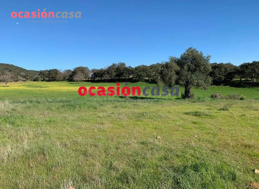 BONITA PARCELA A LA VENTA EN BELMEZ - foto 2