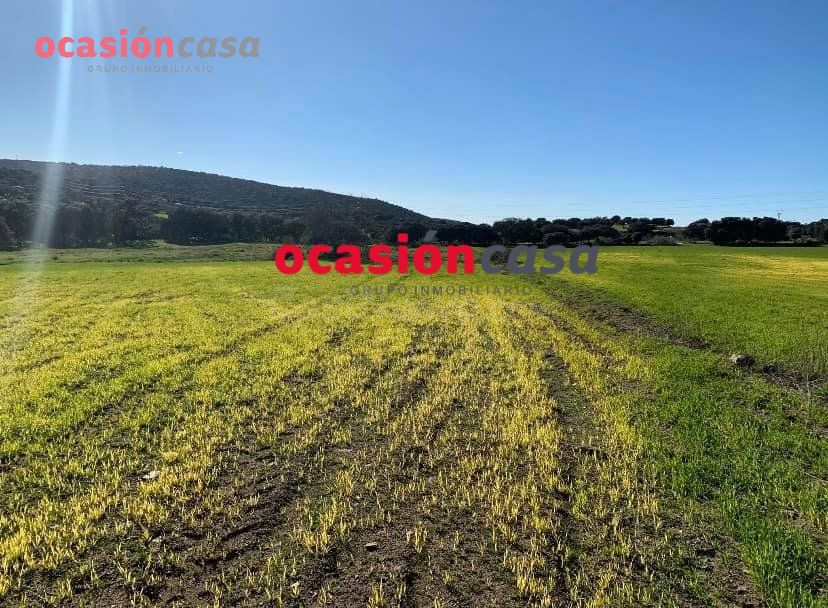 BONITA PARCELA A LA VENTA EN BELMEZ - foto 3
