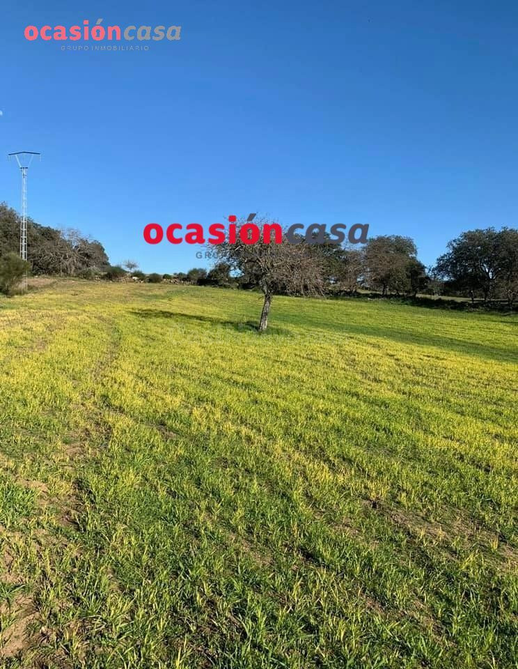 BONITA PARCELA A LA VENTA EN BELMEZ - foto 4