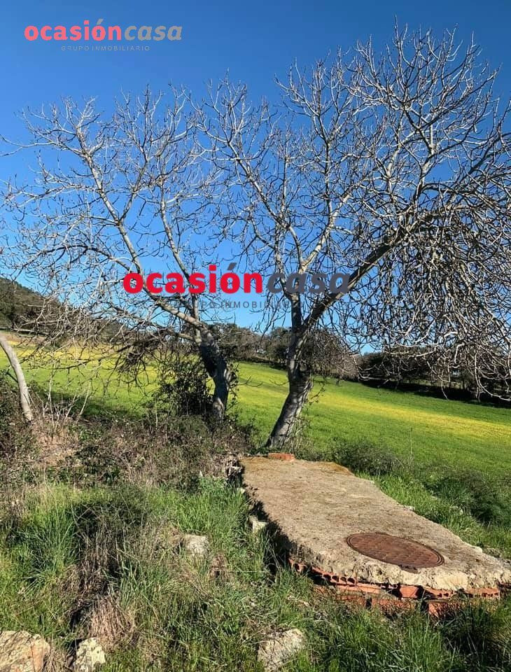 BONITA PARCELA A LA VENTA EN BELMEZ - foto 5