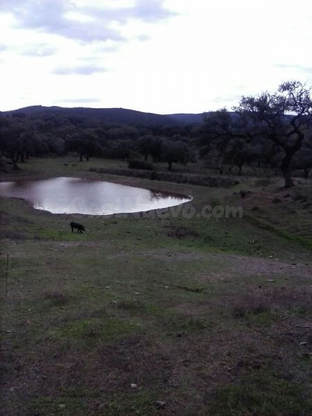 DEHESA 160 Has, GANADERA SIERRA DE HUELVA - foto 2