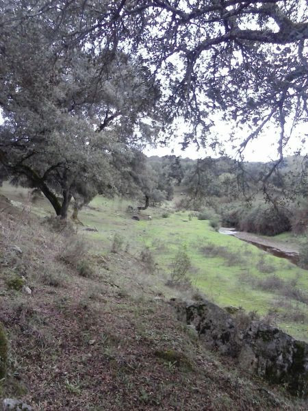 DEHESA 160 Has, GANADERA SIERRA DE HUELVA - foto 3