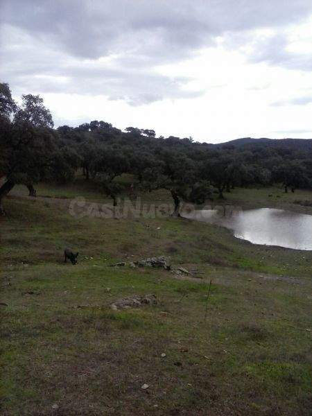 DEHESA 160 Has, GANADERA SIERRA DE HUELVA - foto 4