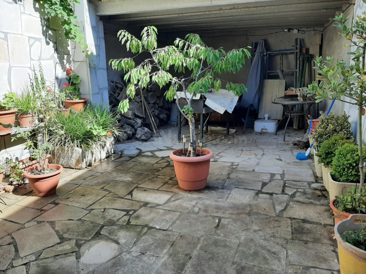 Casa en venta - dos casas en una - esquinera - foto 4